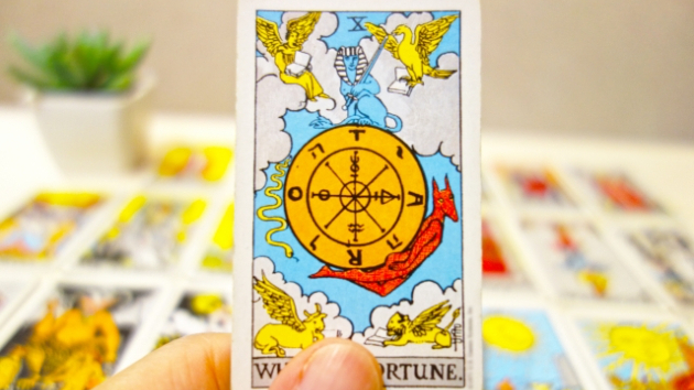 eight タロットキャンドル ✕ WHEELE OF FORTUNE 運命の輪 運命の輪